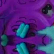 Zoopals In D Major 2000