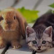 Верка Мне Нужна