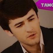 Дарди Ошики