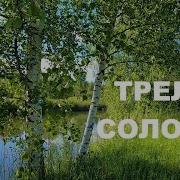 Трели Соловья Целителя От Бога Соловей Своим Пением Поднимает Вибрации Души И Мы Отдыхаем От Тревог