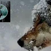 New Lezginka Remix 2020 Aze Kavkaz Music