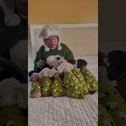 One Sheep Rus