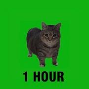 Oiiaoiia 1 Hour