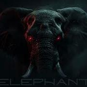 Elephant Christopher Ladex