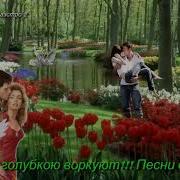 Голубок С Голубкою Воркует Сборник