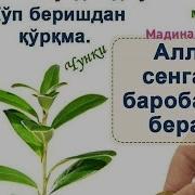 Ишонмагин Молинга Бир Кун Кулдан Кетаро