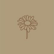 Daisy Chillpeach