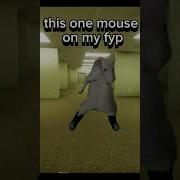 Mouse Dance