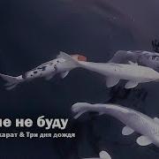 Больше Не Буду Speed Up