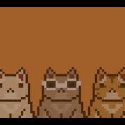 Go Kitty Go 1 Hour