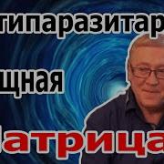 Матрица Горяева Антипаразитарная
