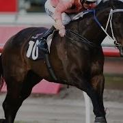 Black Caviar