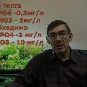 Как Расчитать Количество Вносимых Удобрение В Аквариум