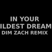 Tina Turner Barry White In Your Wildest Dreams Dim Zach Remix