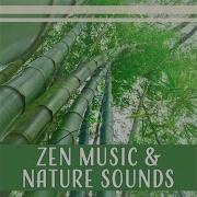 Zen Relaxation Academy Deep Relaxtion Practices