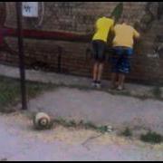 Ай Яй Яй Прикол