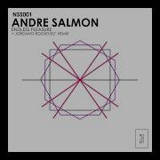 Verkro Andre Salmon