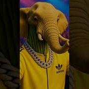 Brainrot Rap Battle
