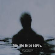 Too Late To Be Sorry