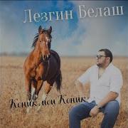 Коник Мой Коник Песня