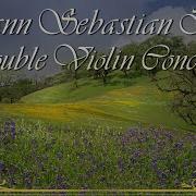 Concerto For 2 Violins In D Minor Bwv 1043 Ii Largo Ma Non Tanto