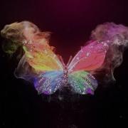 Glowing Butterfly Logo Reveal After Effects Template Mega Pack