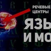 Как Буквица Раскрывает Способности Мозга Славянская Матрица Мировосприятия А Ивашко