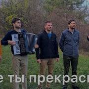 Братья Из Михайловки