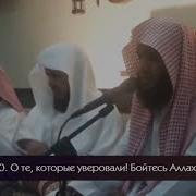 Сура Аль Ахзаб Сальман Аль Утайби