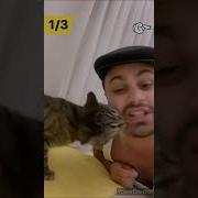 Джавид Ой Пидарасио