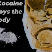 Off The Cocaina