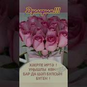 Хаерле Иртә Дуслар