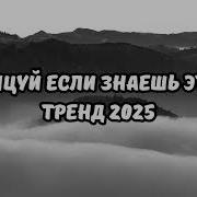 Плейлист Песен Из Лайка 2023
