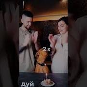 Пес Дуй