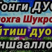 Шукур Дуоси