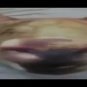 Не Расстраивайся Мем