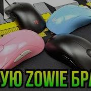 Какую Zowie Брать Сравнение S Fk И Za Серий