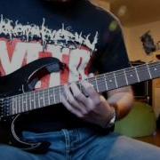 Heaven Shall Burn Hunters Will Be Hunted Cover Guitar