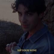 Sip Your Wine Joe Jonas
