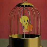 Tweety Song