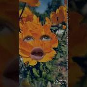 Прикол Ох Мама Мия Вай Вай Вай