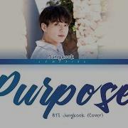 Jungkook Purpose