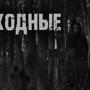 Страшные Истории Про Лес И Тайгу