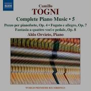 Cadenza To Piano Concerto No 24 In C Minor I Allegro After Mozart S K 491