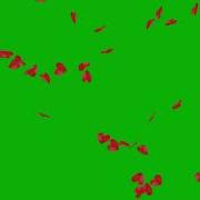 Falling Hearts Green Screen Effect Free