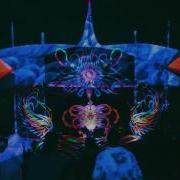 Morphic Resonance New Album