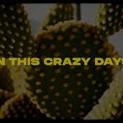 Daza Otto Palmborg Crazy Days