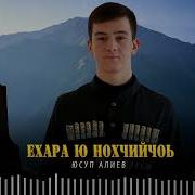 Юсуп Алиев Нохчийчоь