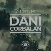 Dani Corbalan
