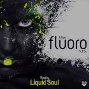 Full On Fluoro Vol 4 Full Continuous Mix ᴴᴰ Mixed By Liquid Soul